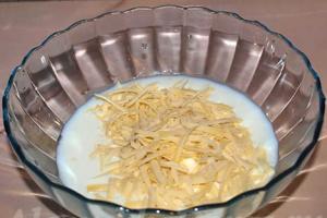 Сырные лепешки на кефире на сковороде - как быстро и вкусно приготовить с ветчиной, зеленым луком и картофелем Как приготовить лепешки с сыром и ветчиной